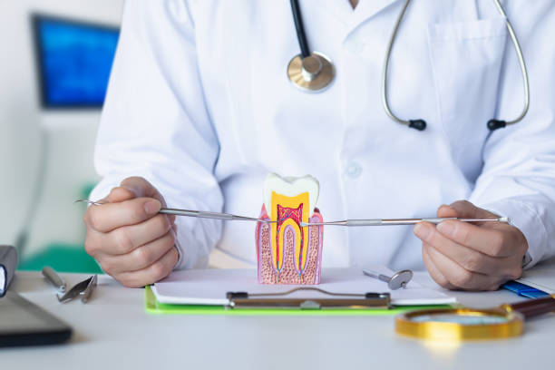 Best Urgent Care for Lost Fillings or Crowns in Bear Creek, FL